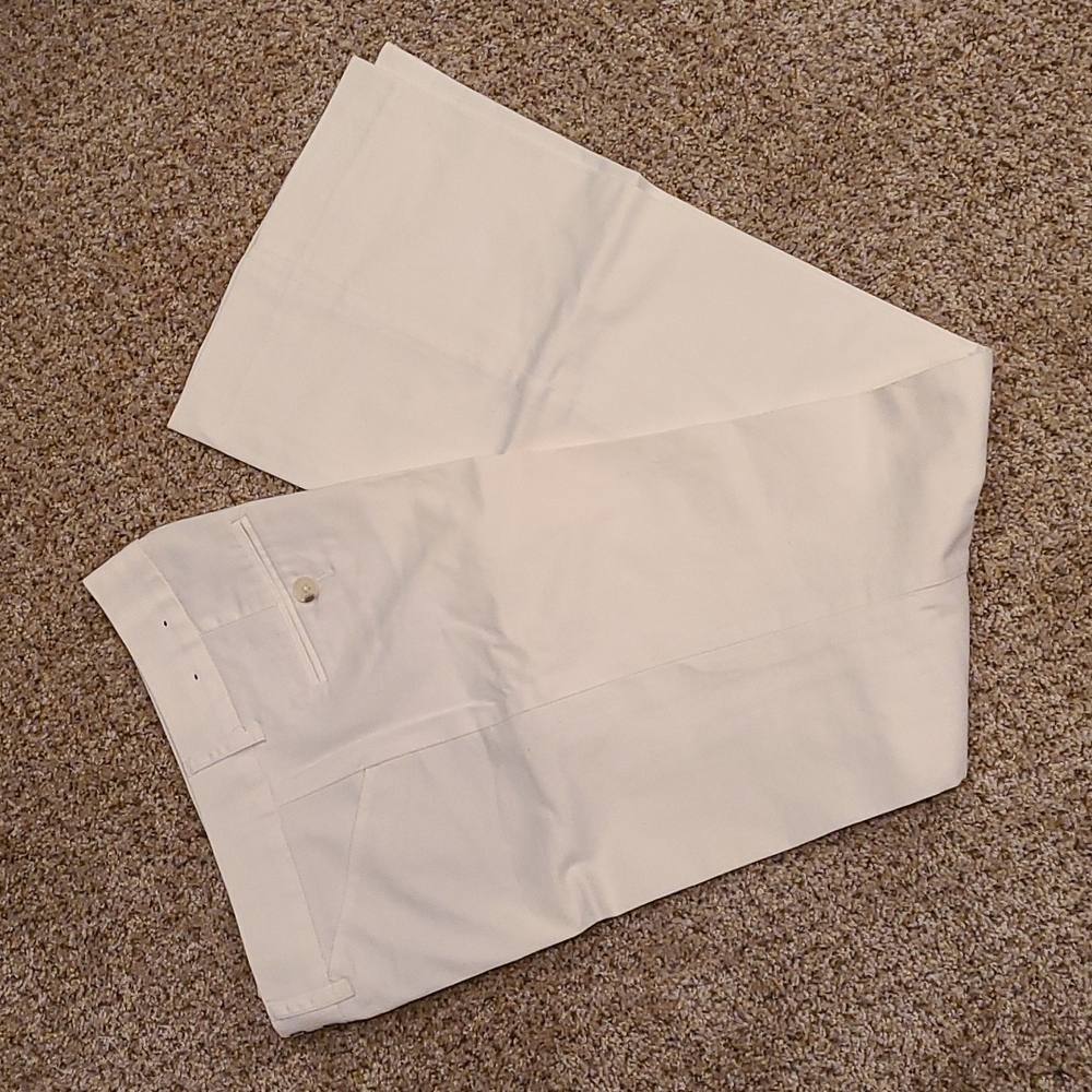 Express Editor Pants / Size 0s (Zero Short) - image 1